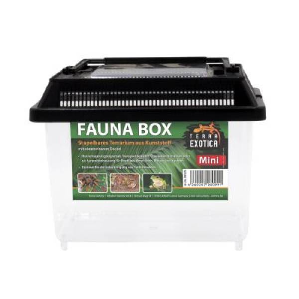 Fauna Box Verschiedene Größen