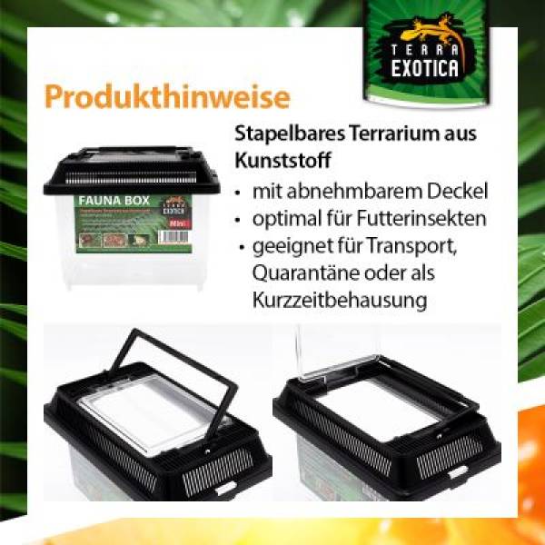 Fauna Box Verschiedene Größen