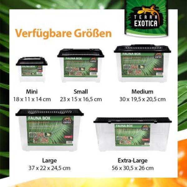 Fauna Box Verschiedene Größen