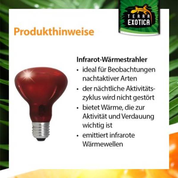 Infra Red - Infrarot Reflektorstrahler - 60 Watt