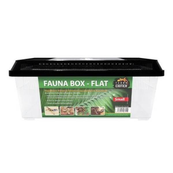 Fauna Box - Flat Small Verschiedene  Größen