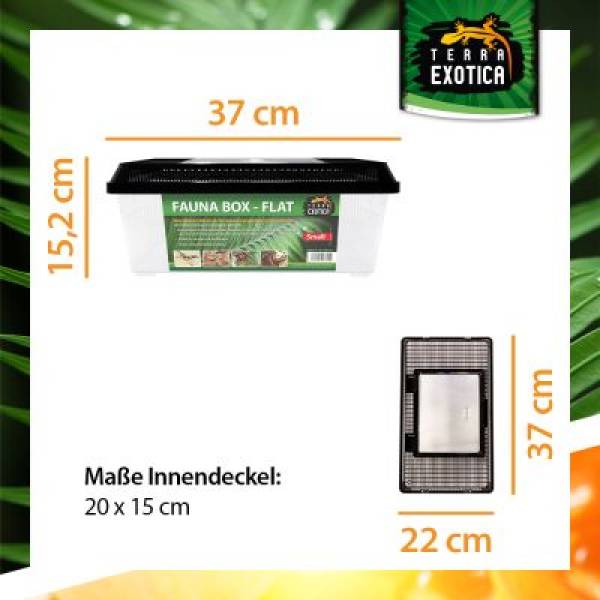 Fauna Box - Flat Small Verschiedene  Größen