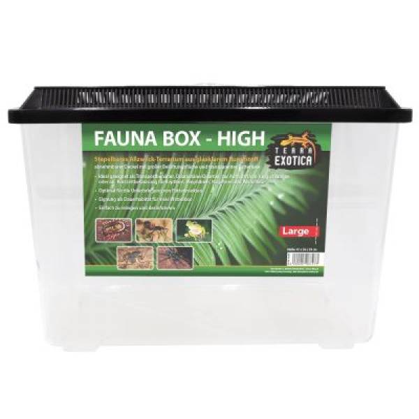 Fauna Box - High Large Verschiedene Größen