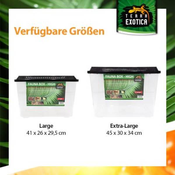 Fauna Box - High Large Verschiedene Größen