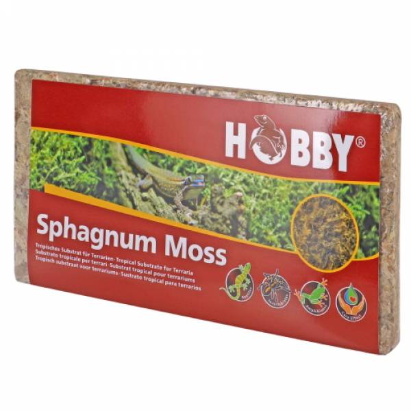 Sphagnum Moss