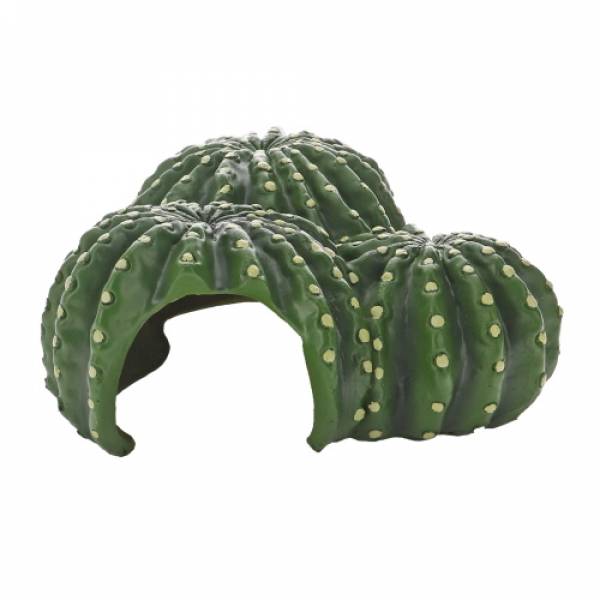 Cactus Home