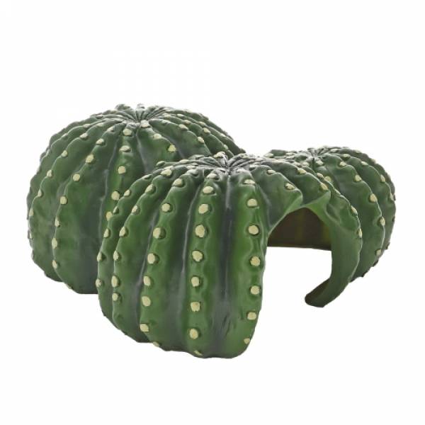 Cactus Home 1