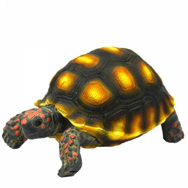 Turtle 1