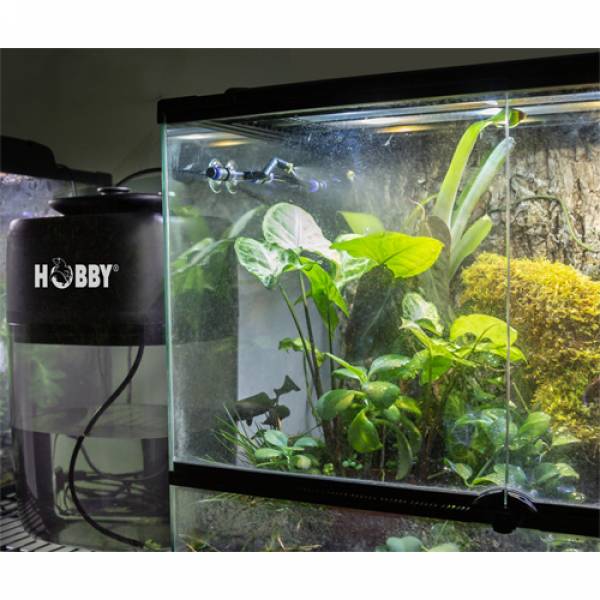 Easy Rain Regelbare Beregnungsanlage für Terrarien