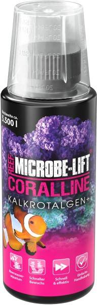 CORALLINE - Kalkrotalgen+