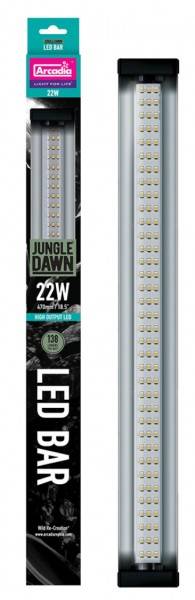 Jungle Dawn LED Bar