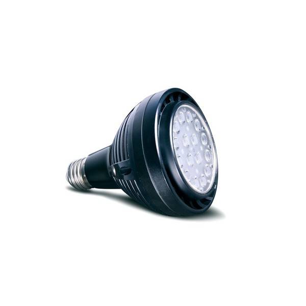 Jungle Dawn LED Spotlight 40 Watt