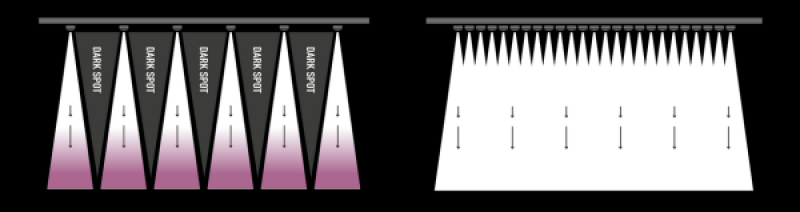 Jungle Dawn LED Bar