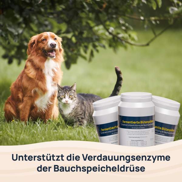 Preview: Fermentierte Blütenpollen