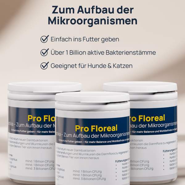 Preview: Pro Floreal