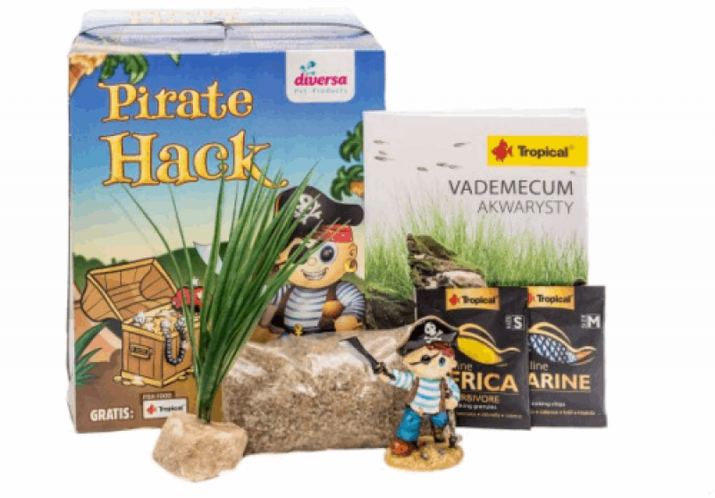 SCHATZSET DES PIRATE HACK