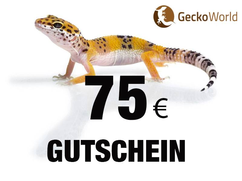 Gutschein 75 Euro