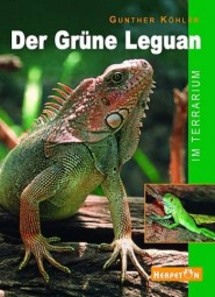 Der Grüne Leguan im Terrarium