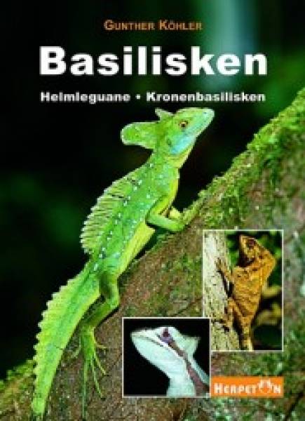 Basilisken Helmleguane Kronenbasilisken