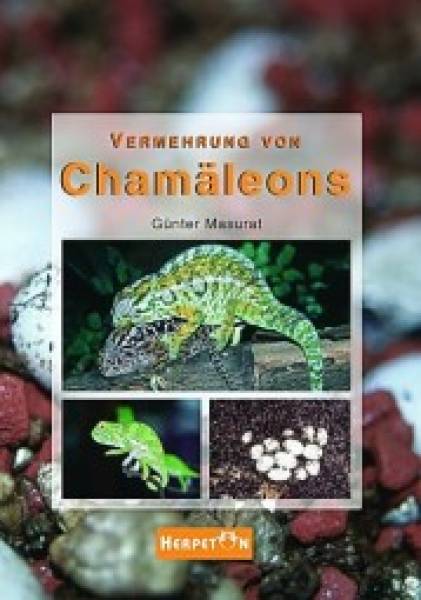 Vermehrung von Chamäleons