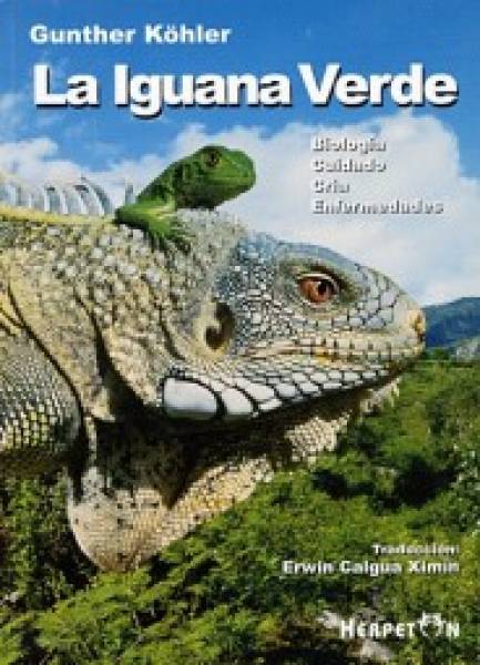 La Iguana verde