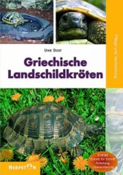 Griechische Landschildkröten