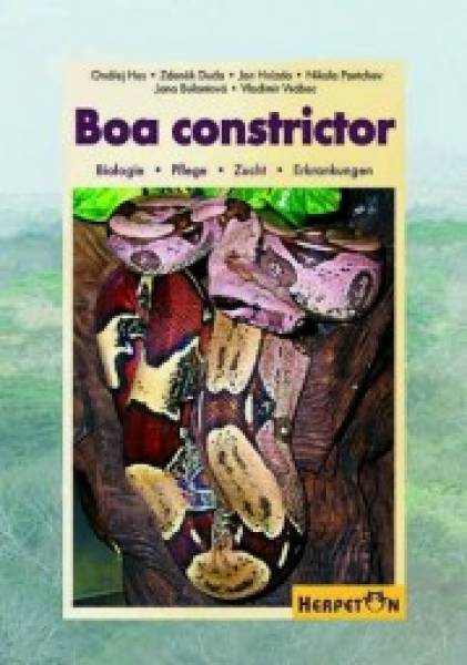 Boa constrictor