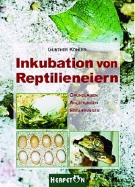 Inkubation von Reptilieneiern