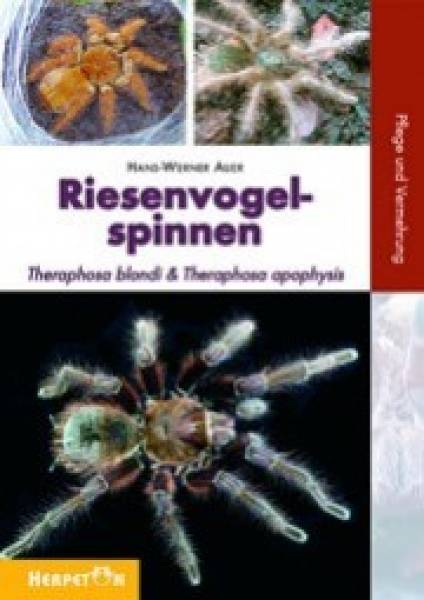 Riesenvogelspinnen