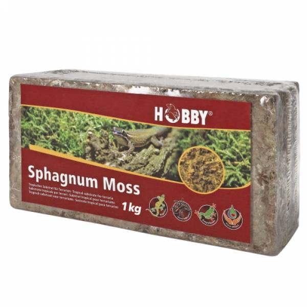 Sphagnum Moss