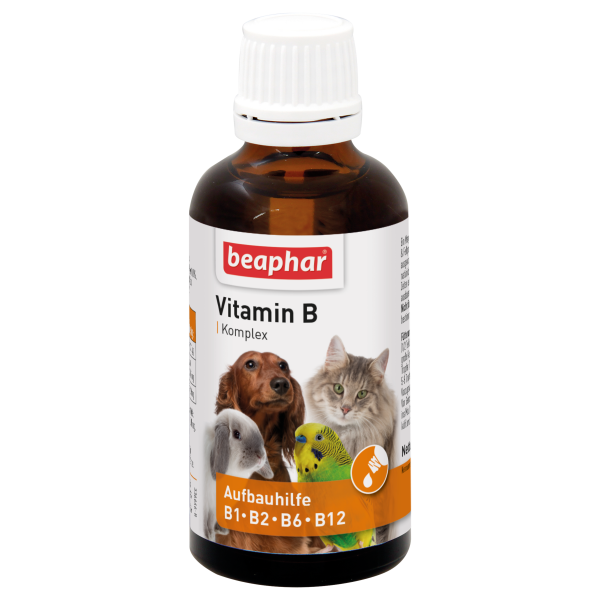 Vitamin-B Komplex, 50ml