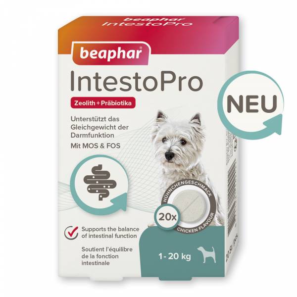 Beaphar IntestoPro Tabs für kleine Hunde, 20 Stück