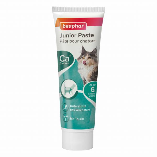 Junior Paste, 100g