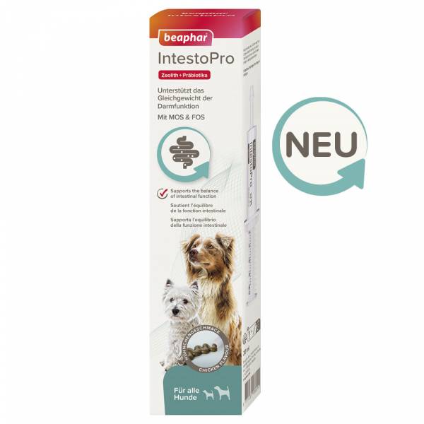 Beapar IntestoPro Paste für Hunde, 2x20ml