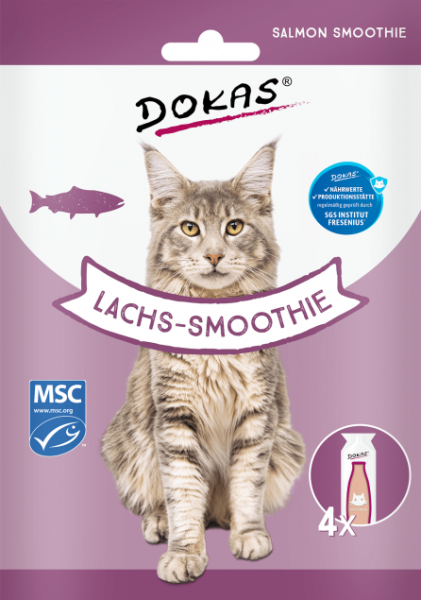 Lachs-Smoothie