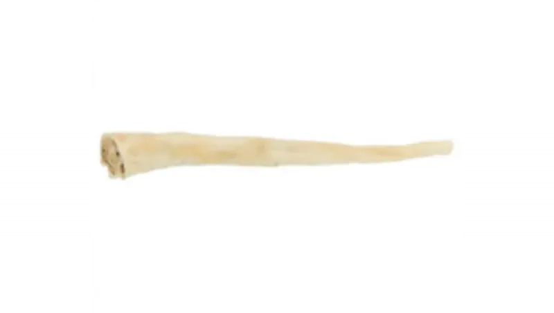 Jahn: Büffelschwanz, getrocknet 30 cm