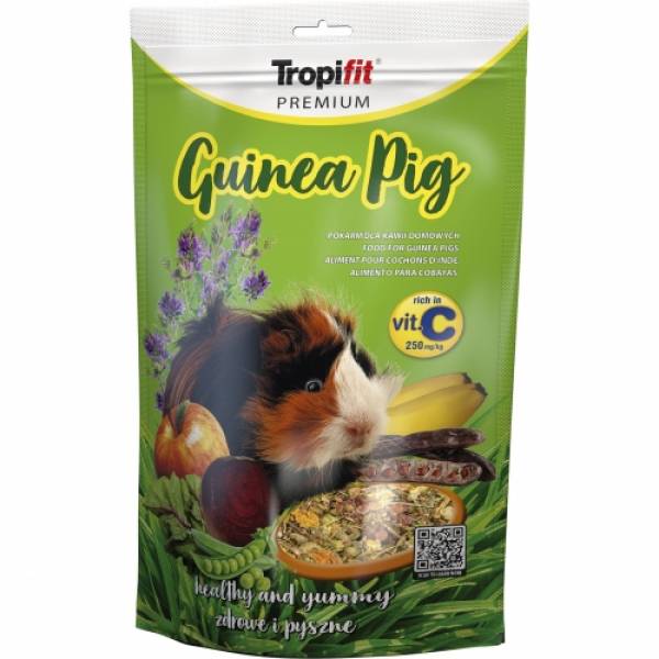 Guinea Pig