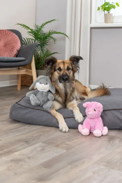 Preview: Schweinchen