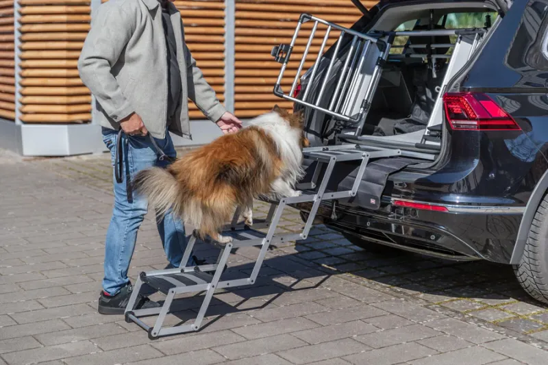 4-stufige Falt-Treppe, Aluminium/TPR