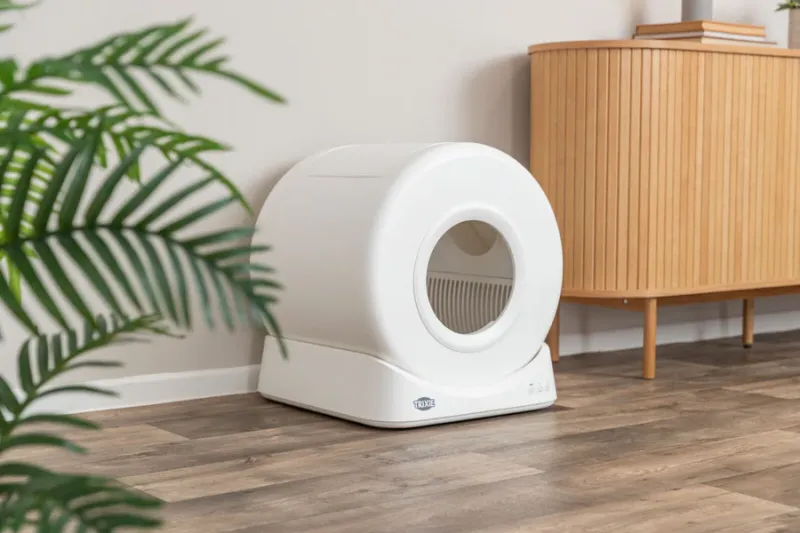 Smarte Katzentoilette