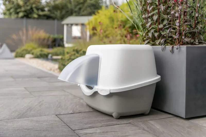 Katzentoilette Davio Top
