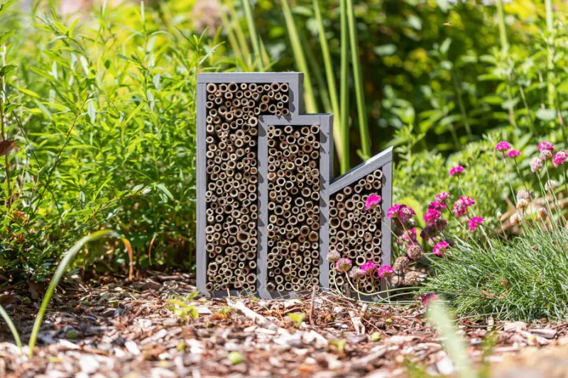 Preview: Bienenhotel