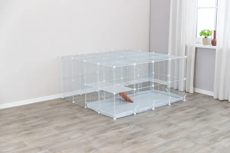 Indoor Freilaufgehege