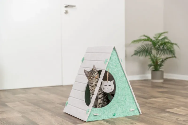 Preview: Höhle Merle