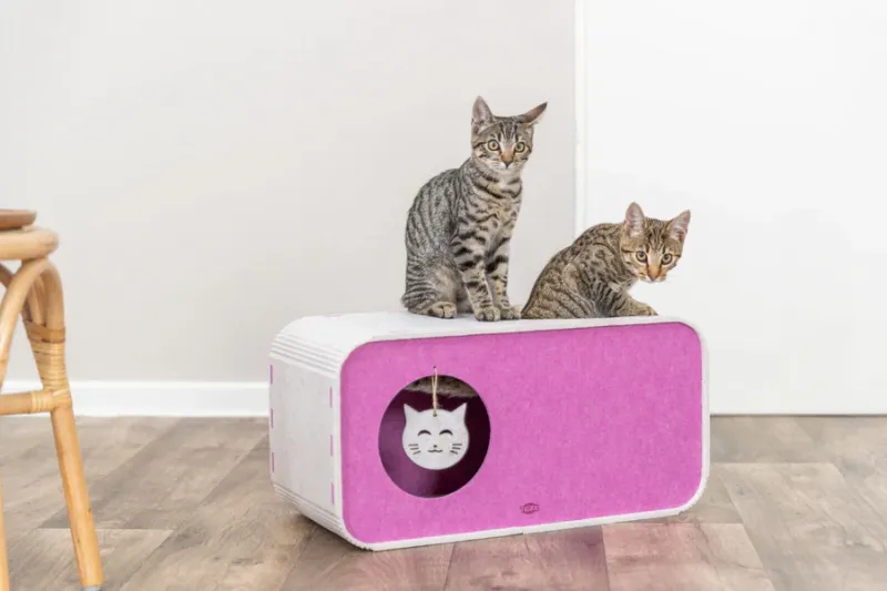 Preview: Höhle Merle