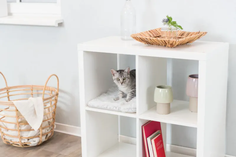 Preview: Liegematte Harvey für Regale