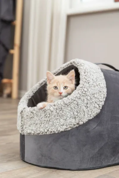 Preview: Höhle Calida