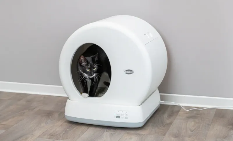 Preview: Selbstreinigende Katzentoilette
