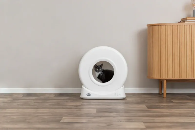 Smarte Katzentoilette