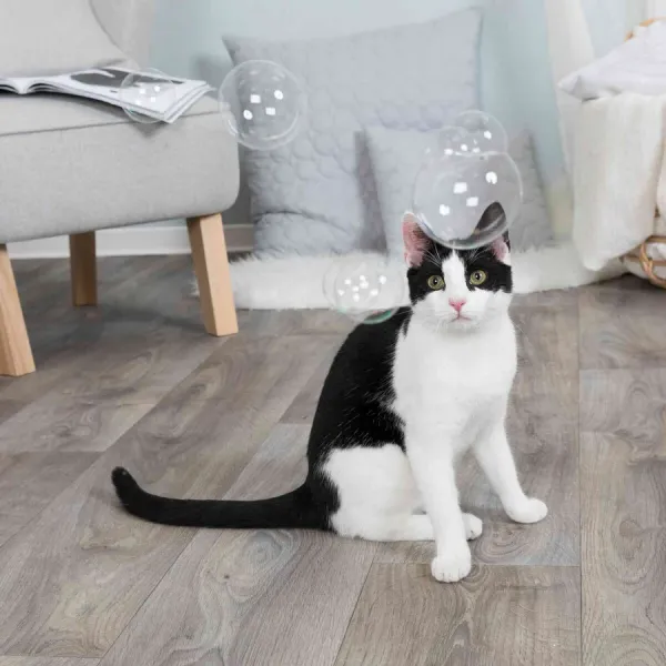 Preview: Catnip Seifenblasen